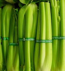 Celery stalks and leaves can be added to soups and stocks. Photo: Carolyn Keeney